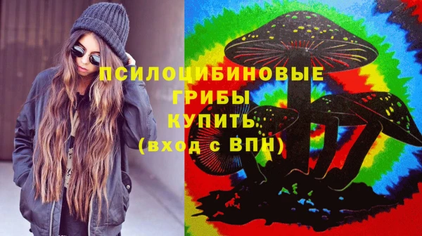 mix Арсеньев