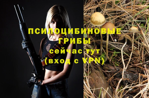 mix Арсеньев