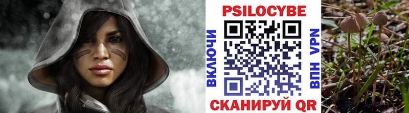 Псилоцибиновые грибы Cubensis  закладка  mega вход  Южно-Сухокумск 